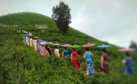 玉環(huán)火山茶基地舉辦首屆旗袍走秀活動(dòng)＂當(dāng)旗袍遇見火山茶的美麗邂逅＂。